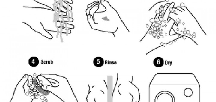 Hand Wash Guideline