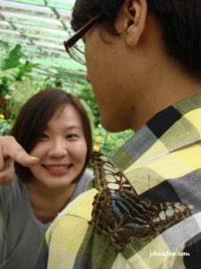 Butterfly at my colleague's body @ Penang Butterfly Farm