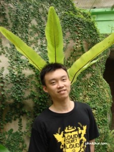 An enlightment from leaves @ Penang Butterfly Farm