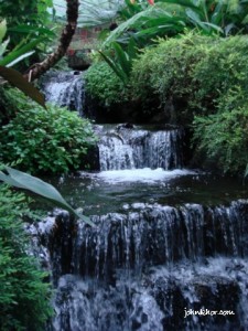 Small waterfall @ Penang Butterfly Farm