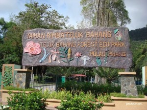 Taman Rimba Teluk Bahang Entrance